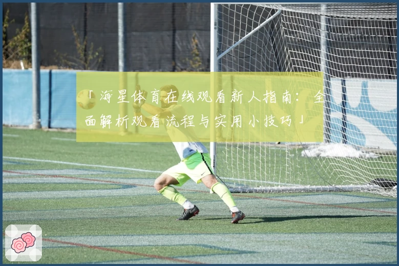 「海星体育在线观看新人指南：全面解析观看流程与实用小技巧」