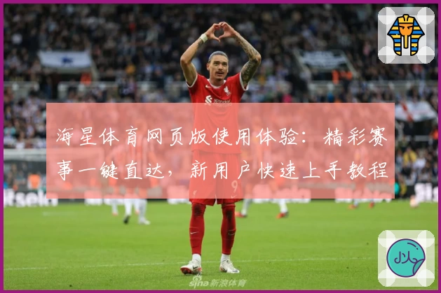 海星体育网页版使用体验：精彩赛事一键直达，新用户快速上手教程