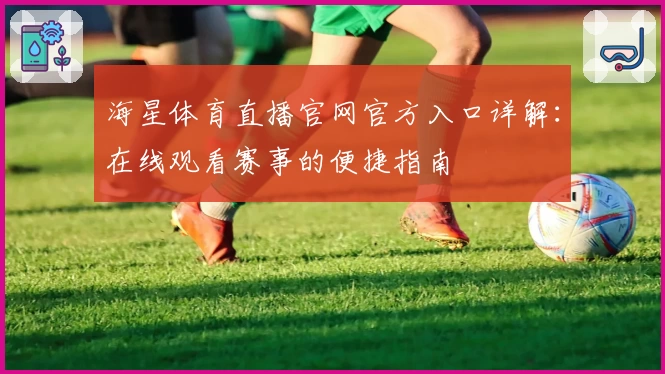 海星体育直播官网官方入口详解：在线观看赛事的便捷指南