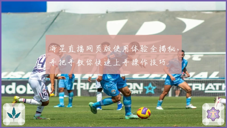 海星直播网页版使用体验全揭秘，手把手教你快速上手操作技巧