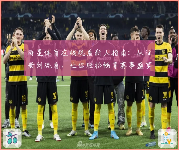 海星体育在线观看新人指南：从注册到观看，让你轻松畅享赛事盛宴