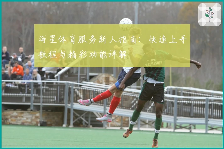 海星体育服务新人指南：快速上手教程与精彩功能详解